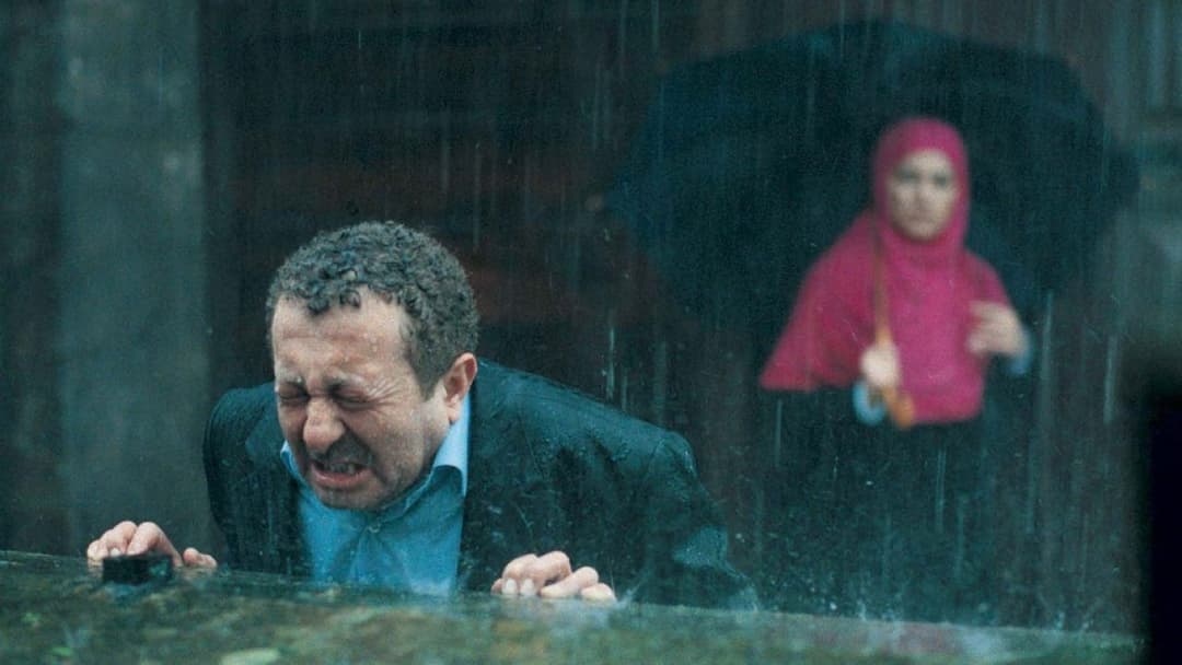 Takva - Gottesfurcht backdrop 3