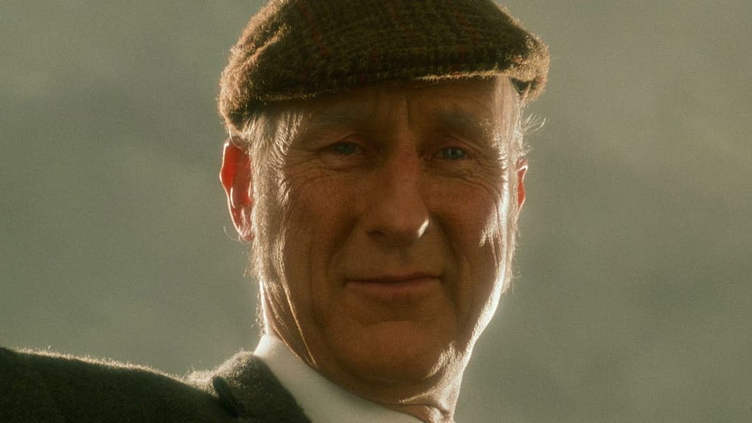 Бейб backdrop 12