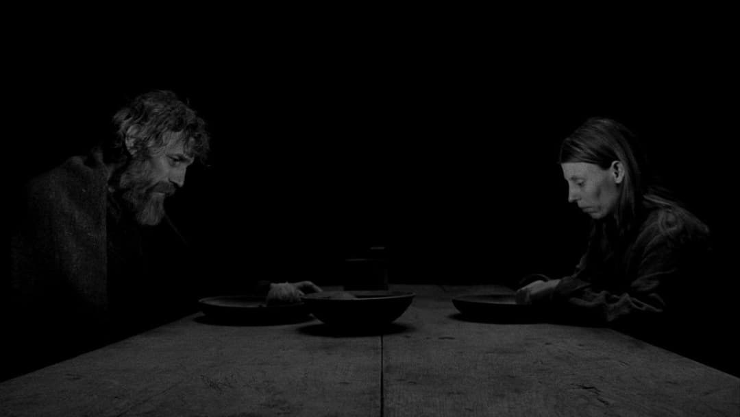 Туринський кінь backdrop 9