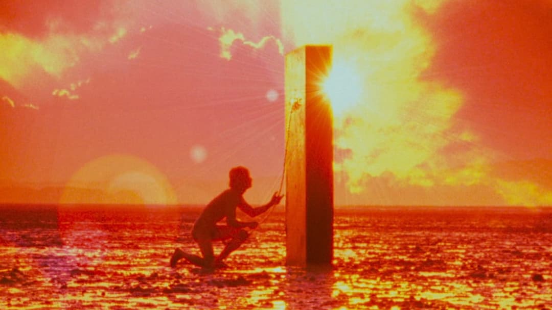 지구를 지켜라! backdrop 7