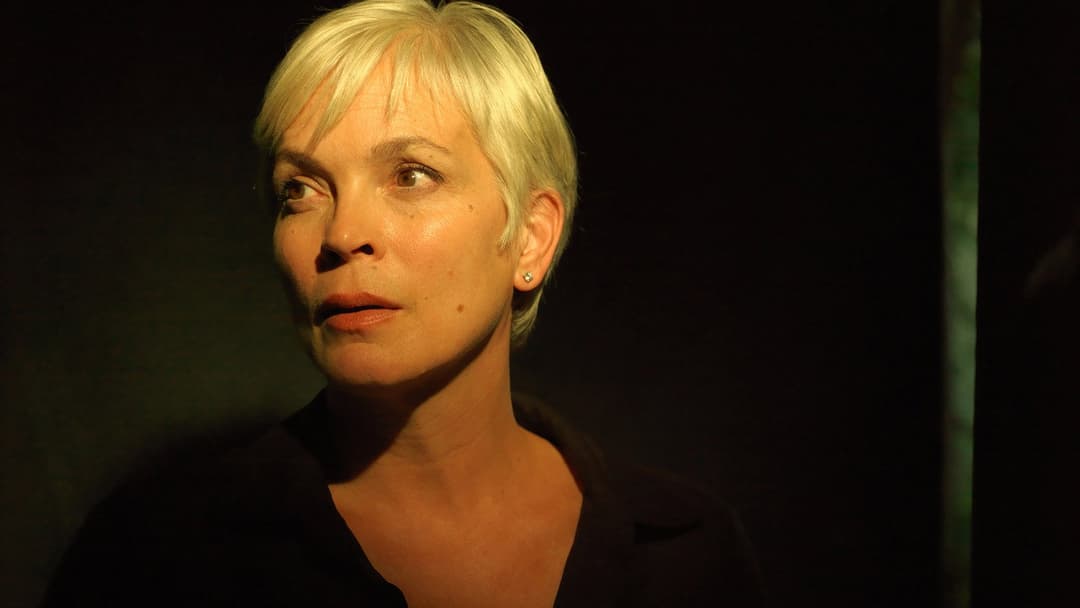 Coherence backdrop 14