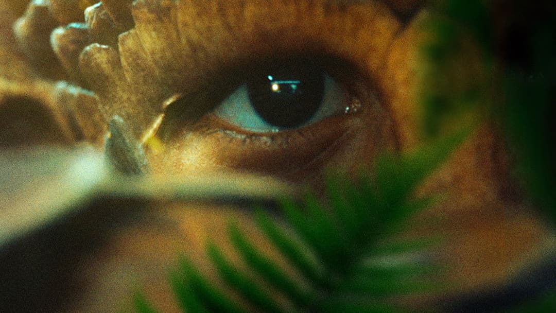 Королівство тварин backdrop 9