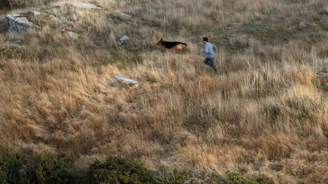 Los fuertes backdrop 5