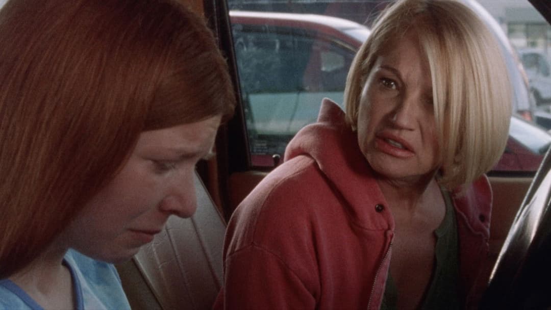 Palindrome backdrop 3