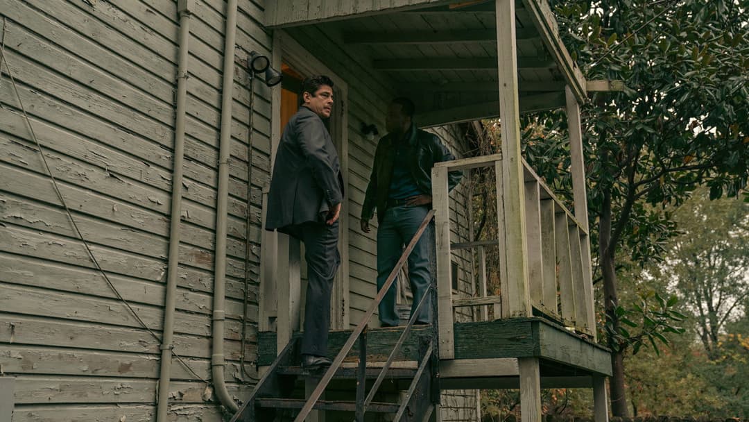 Плазуни backdrop 6