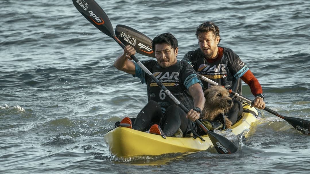 Артур, ти король backdrop 7