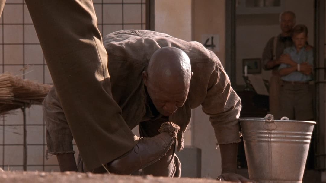 The Power of One backdrop 12