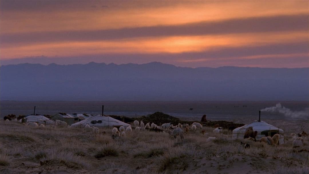 Die Geschichte vom weinenden Kamel backdrop 5