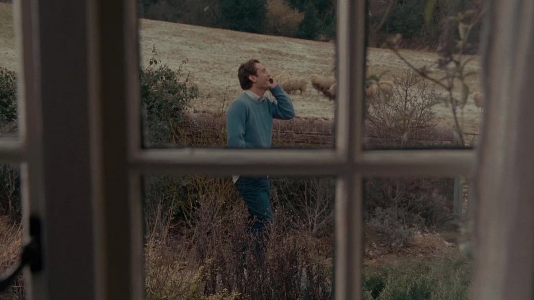 The Holiday backdrop 17