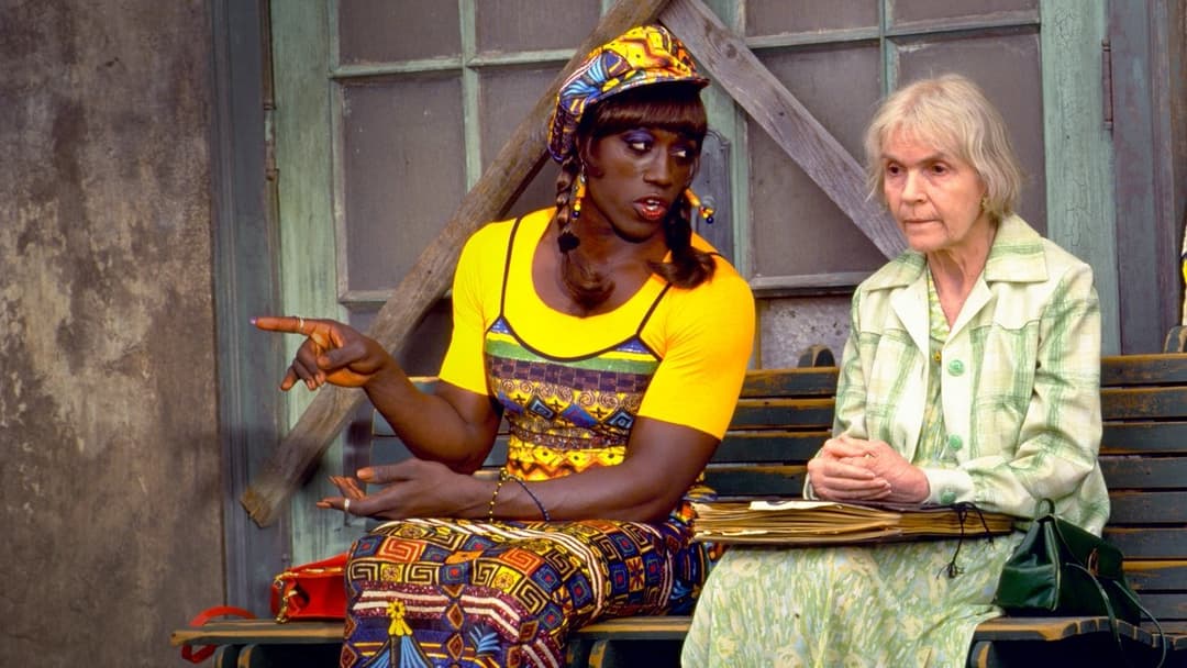 To Wong Foo, Thanks for Everything! Julie Newmar backdrop 16