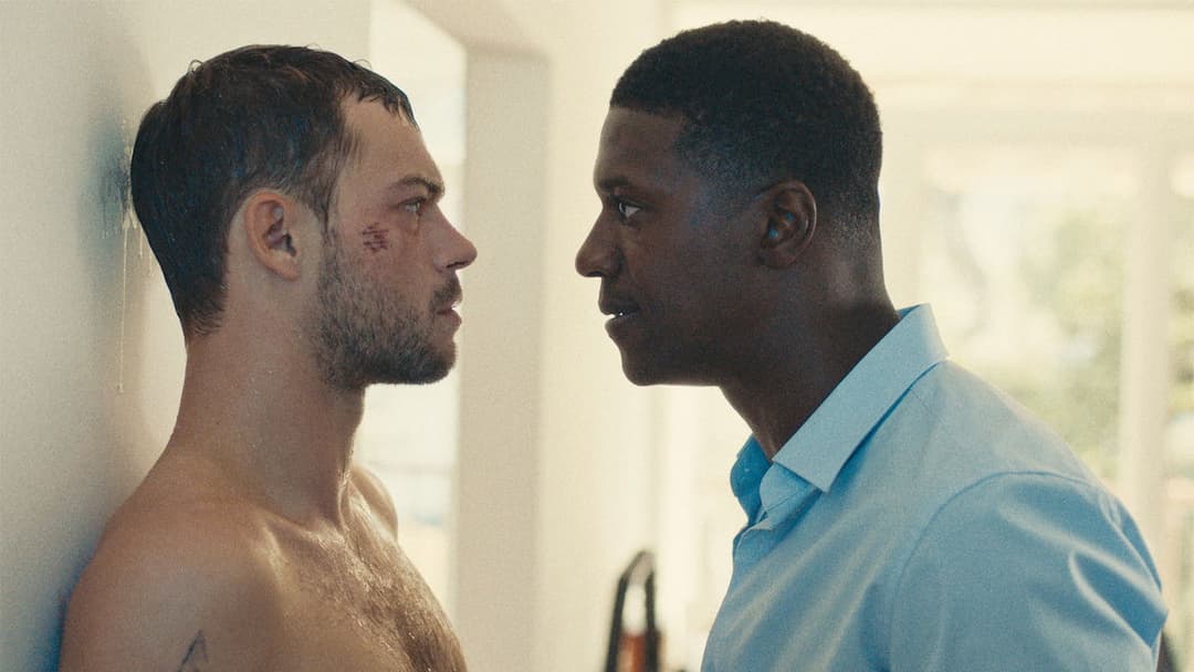 Джонас backdrop 17