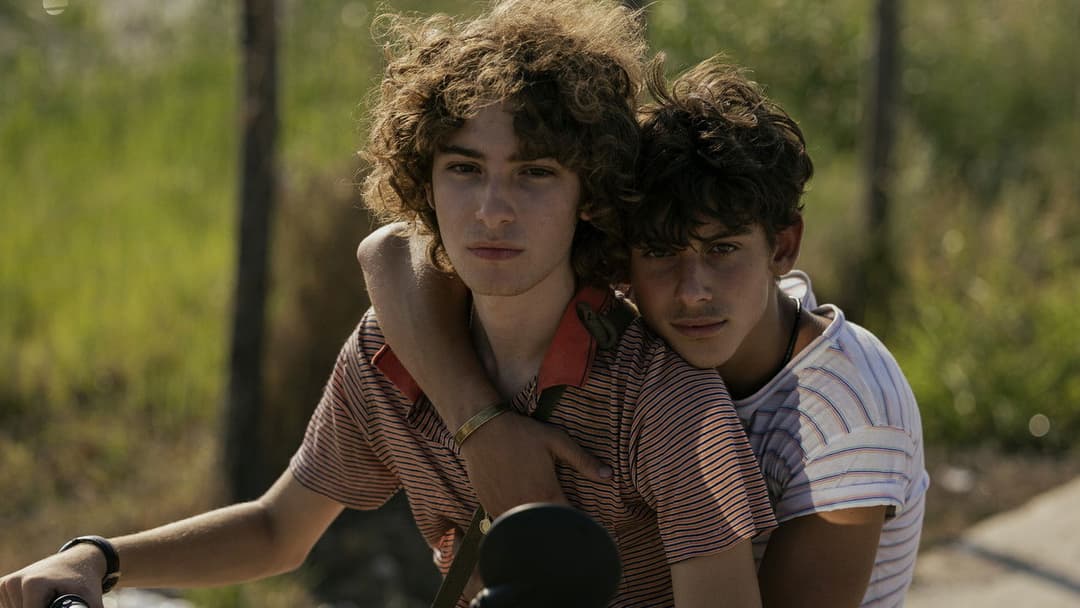 Fireworks backdrop 14