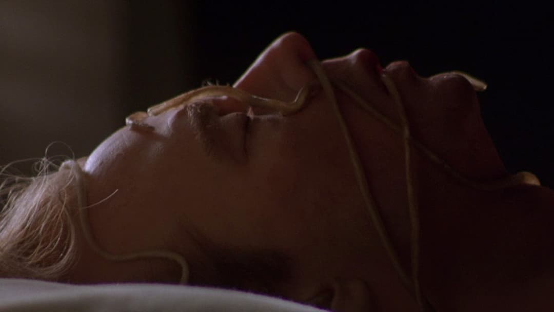 Body Snatchers - Die Körperfresser kommen backdrop 6