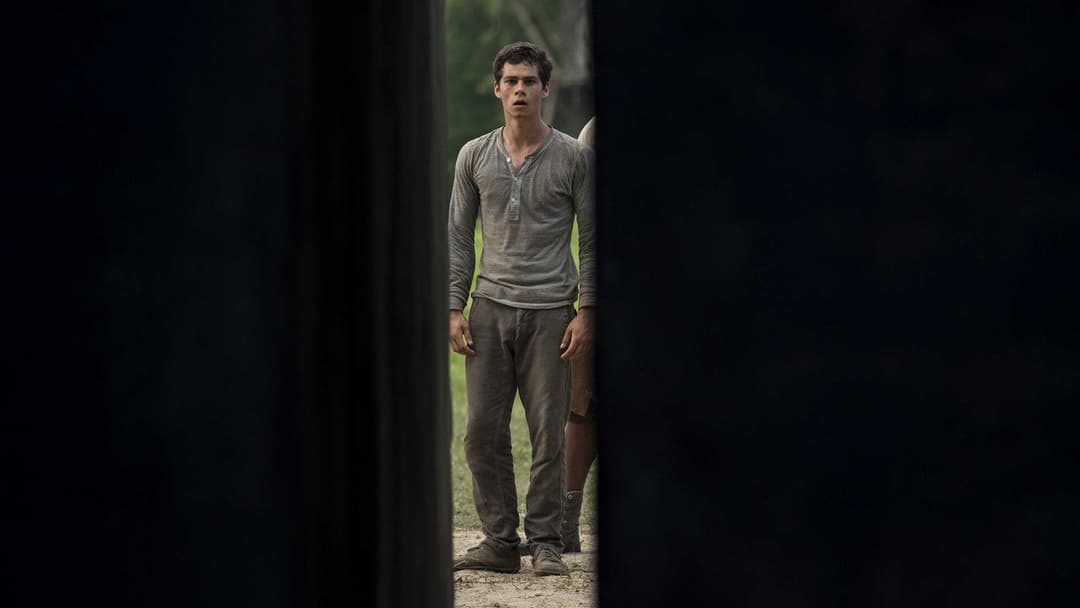 The Maze Runner backdrop 12