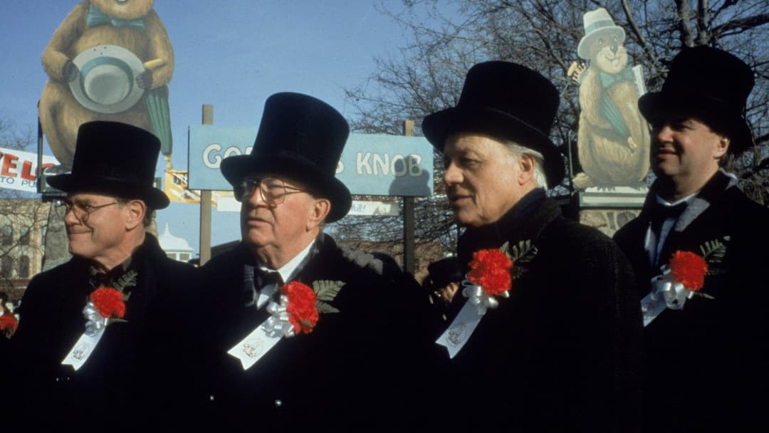 День бабака backdrop 20