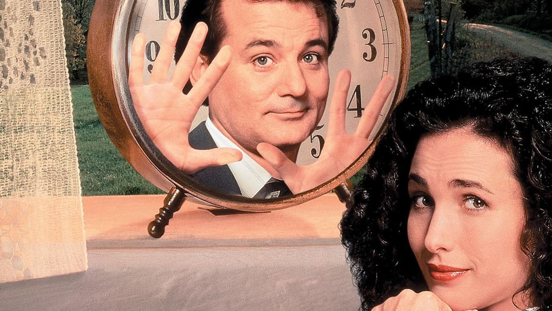 День бабака backdrop 19