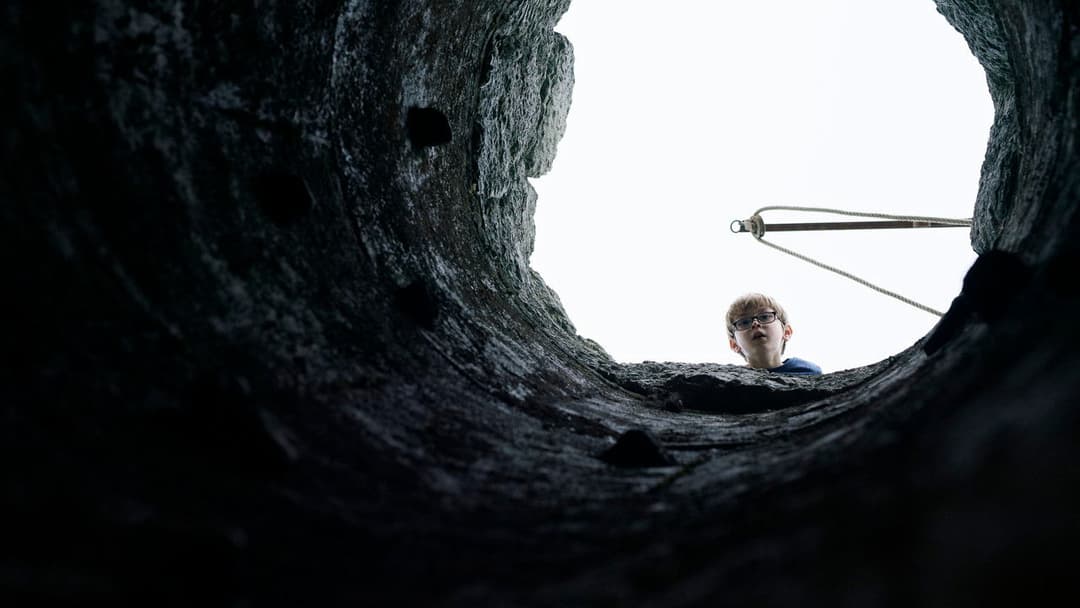 Барва з позамежжя світу backdrop 15