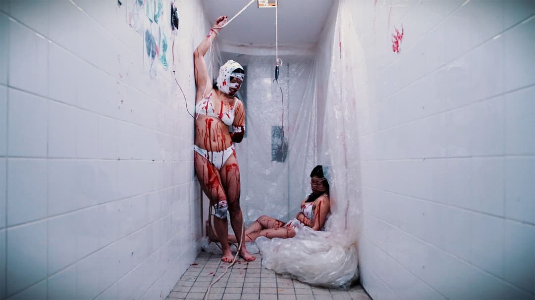 Sweet Cherries Ahead backdrop 1