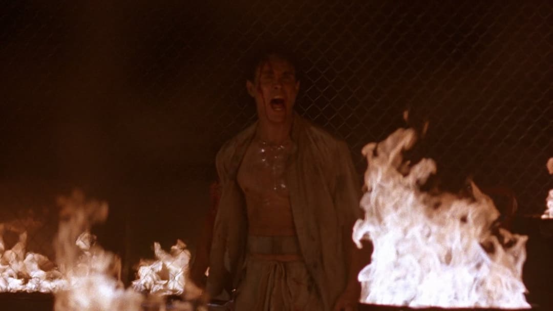 Швидкий вогонь backdrop 4