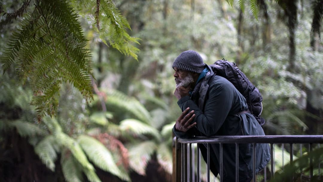 Force of Nature: The Dry 2 backdrop 16