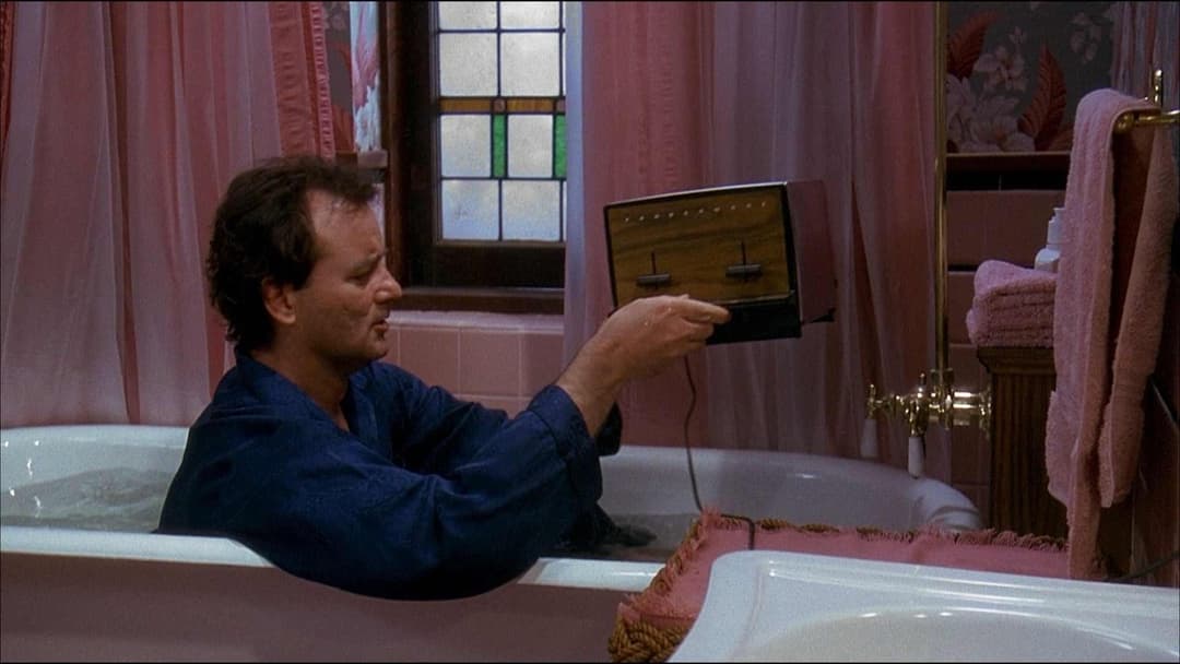 День бабака backdrop 15