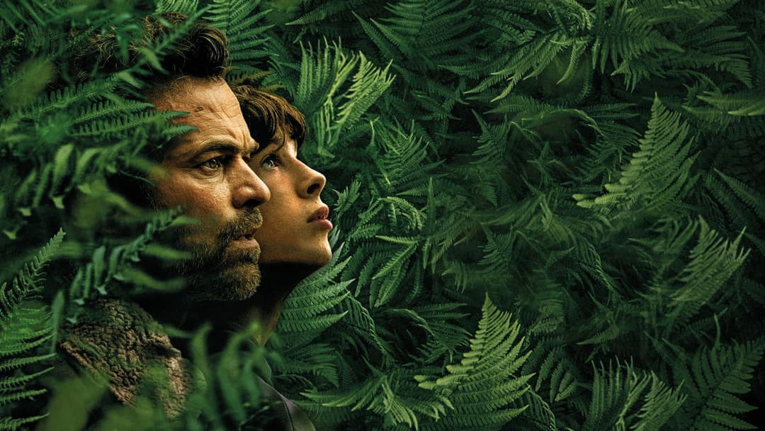 Королівство тварин backdrop 20