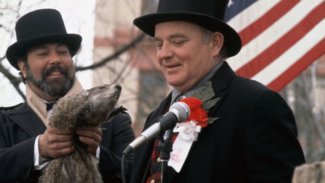 День бабака backdrop 3