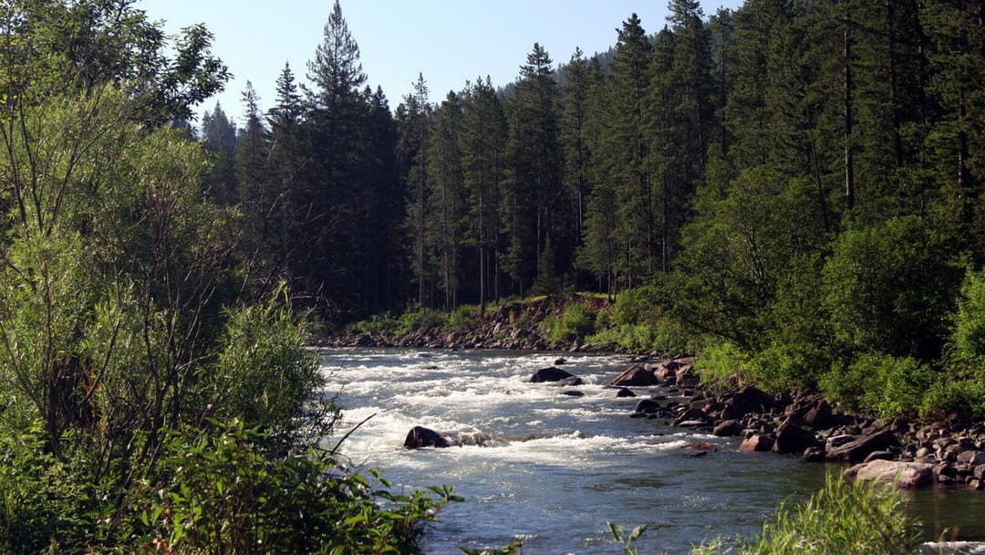 Там, де тече ріка backdrop 15