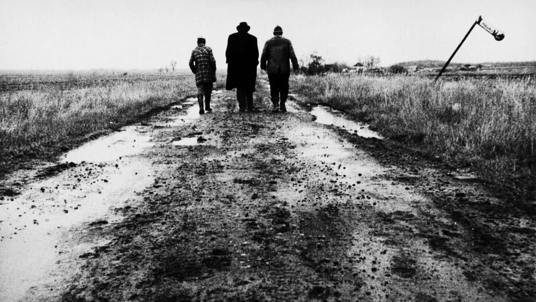 Sátántangó backdrop 6