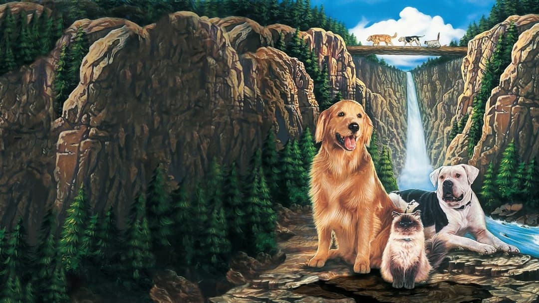 Homeward Bound: The Incredible Journey backdrop 9
