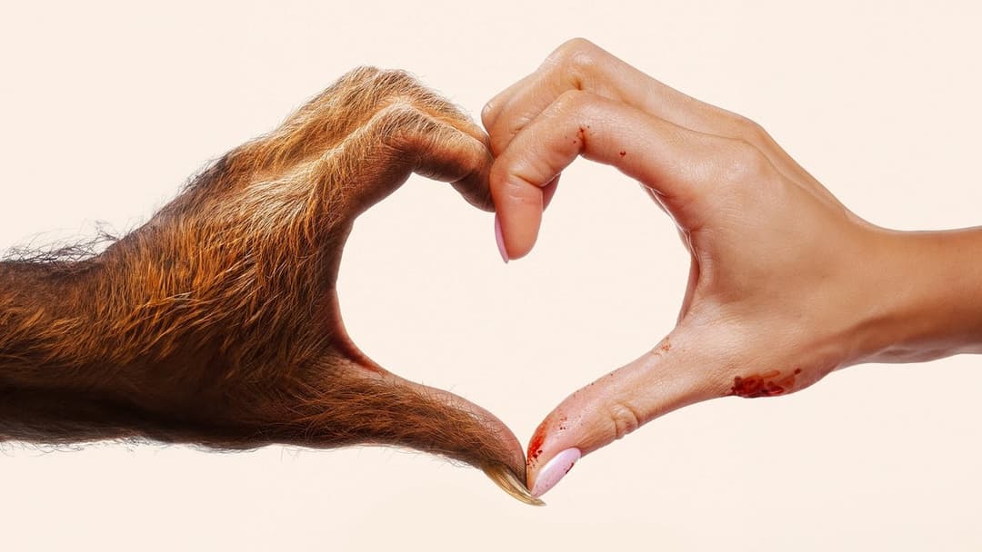 Mein Monster - Ungeheuer verliebt backdrop 3