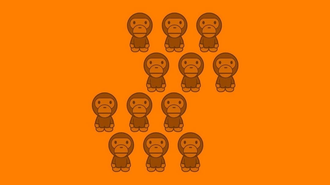 12 мавп backdrop 13