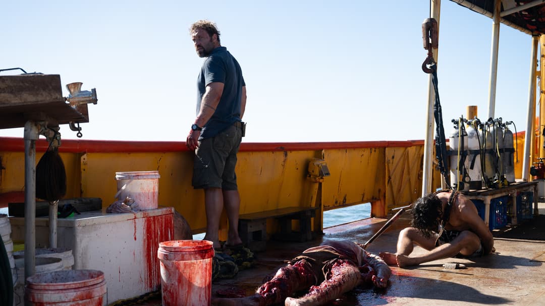 Небезпечна тварина backdrop 20