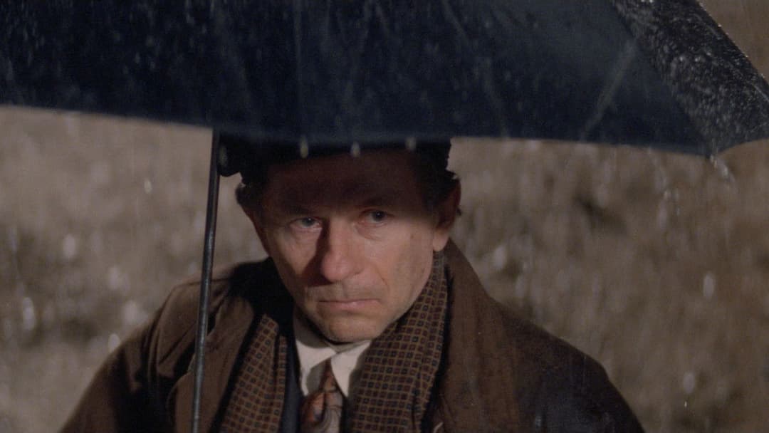 Проста формальність backdrop 3