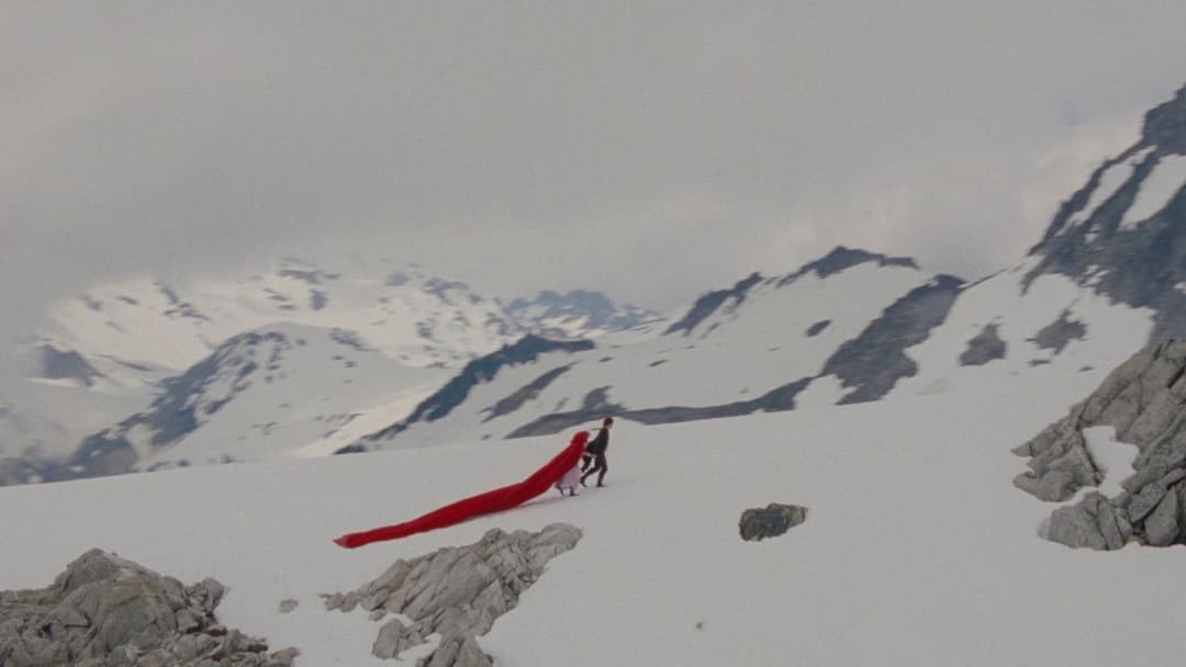 Червона Шапочка backdrop 15