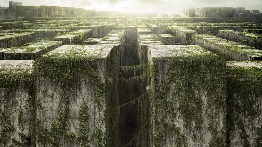 The Maze Runner backdrop 5