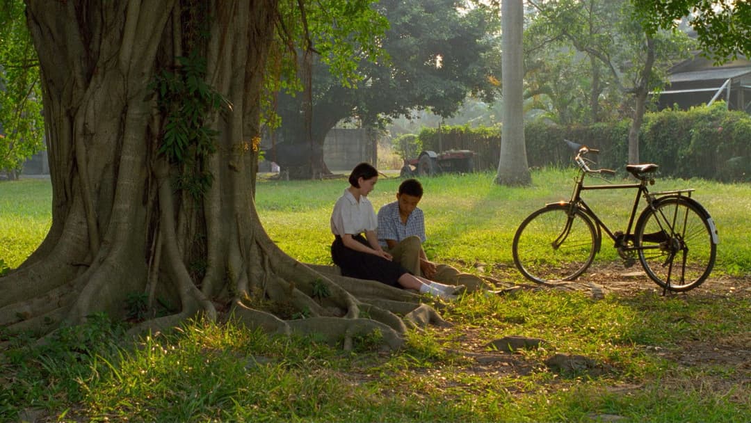 Ein Sommer zum Verlieben backdrop 13