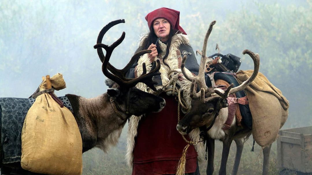 Wunder einer Winternacht backdrop 3