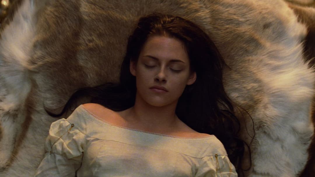 Білосніжка та мисливець backdrop 13