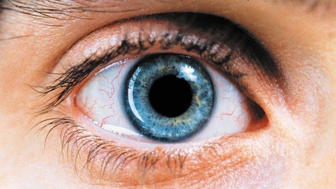 Реквієм за мрією backdrop 6