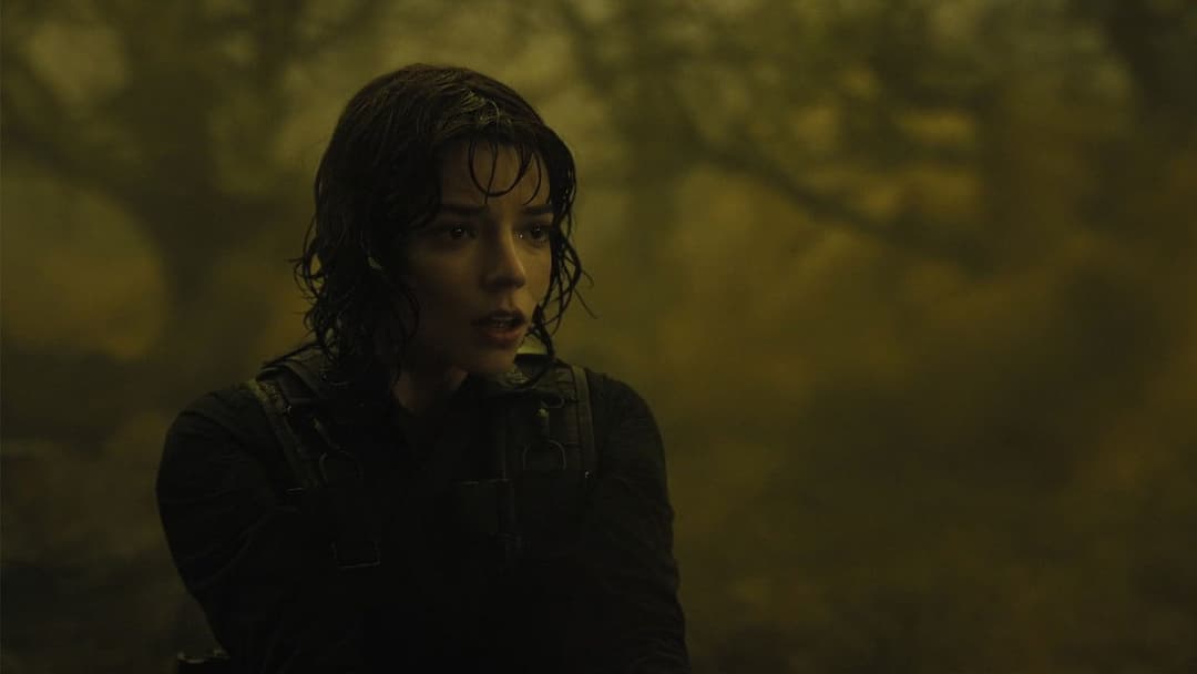 Ущелина backdrop 8