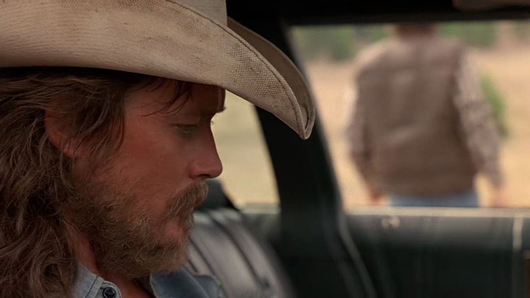 Вогонь у небі backdrop 15