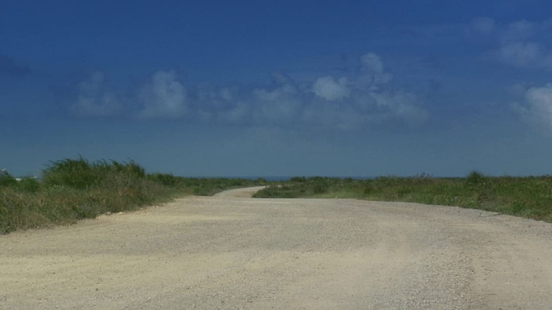 Sonatine backdrop 14