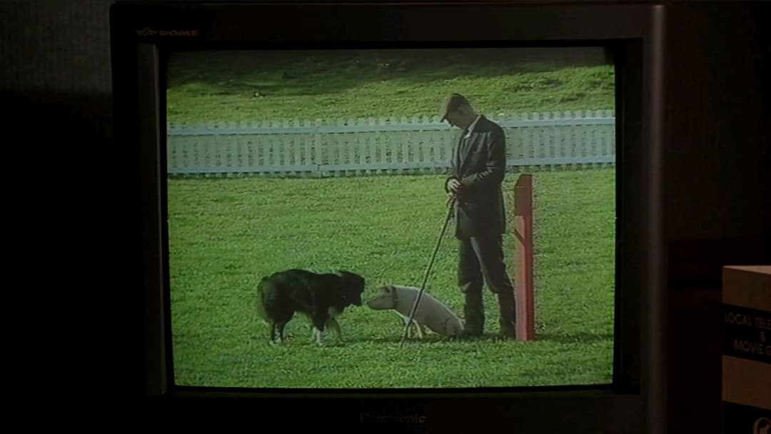 Бейб backdrop 14