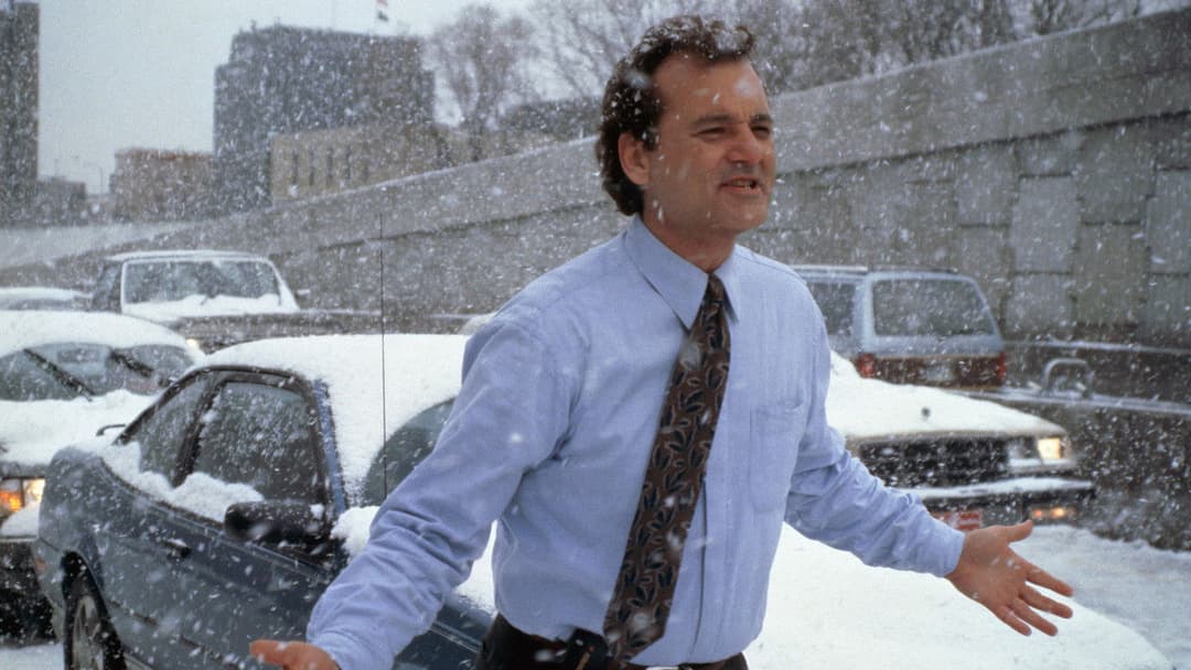 День бабака backdrop 6