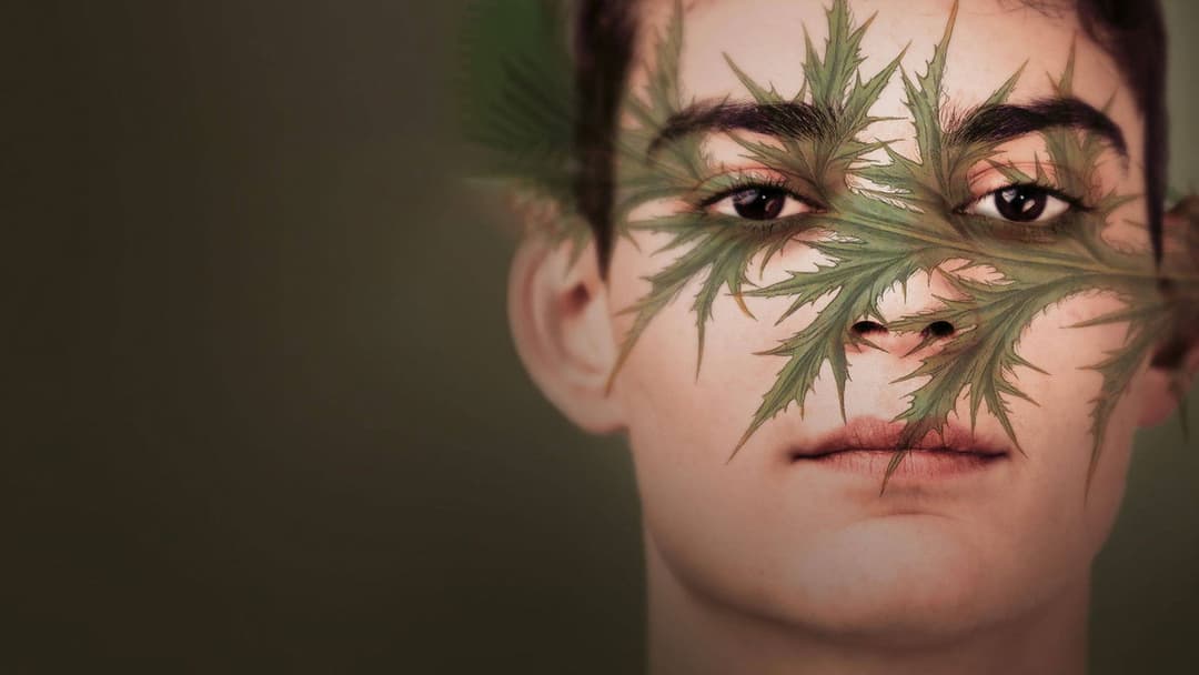 Charlatan backdrop 3