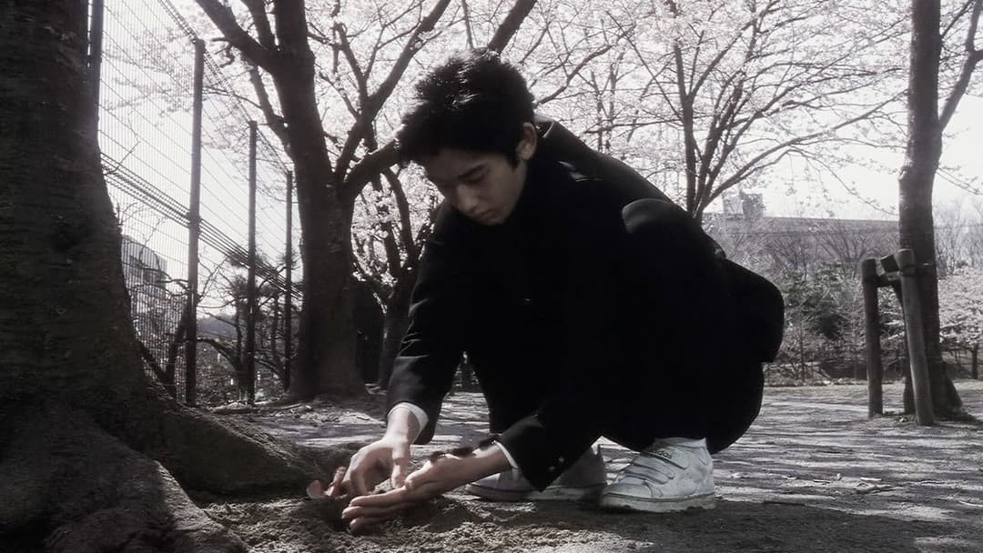 Blue Spring backdrop 10