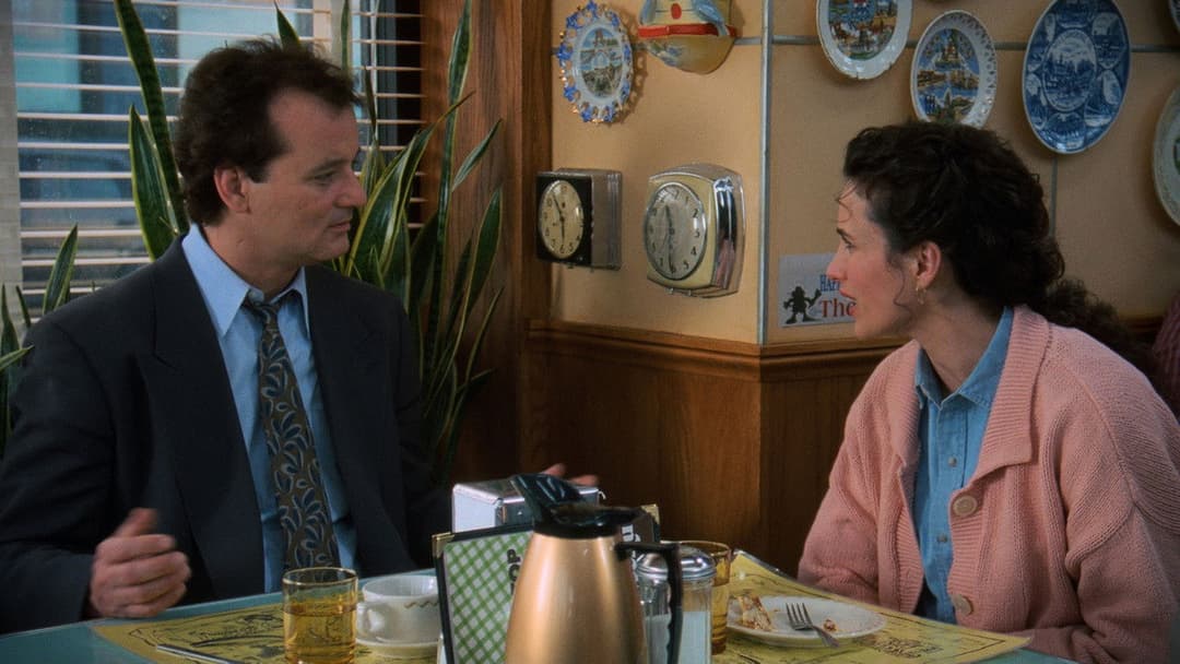 День бабака backdrop 7