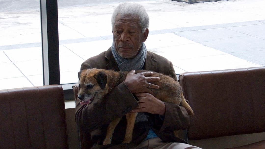 Ruth & Alex - Verliebt in New York backdrop 3