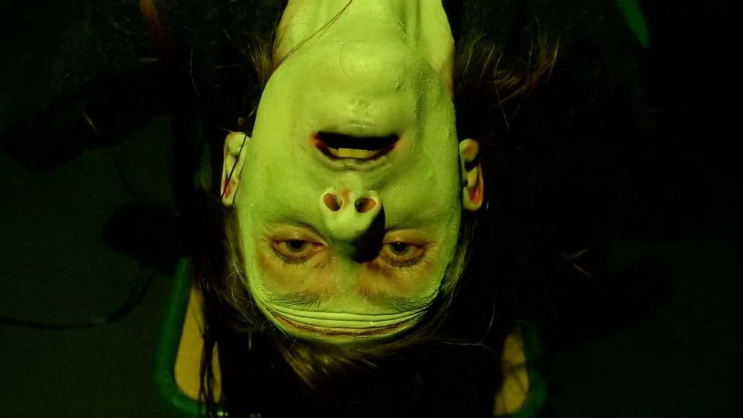 Frankenstein Created Robyn